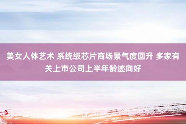 美女人体艺术 系统级芯片商场景气度回升 多家有关上市公司上半年龄迹向好