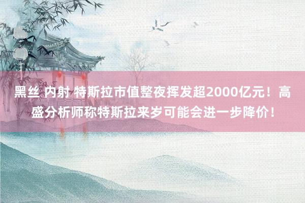 黑丝 内射 特斯拉市值整夜挥发超2000亿元！高盛分析师称特斯拉来岁可能会进一步降价！