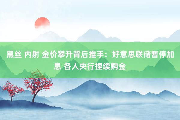 黑丝 内射 金价攀升背后推手：好意思联储暂停加息 各人央行捏续购金