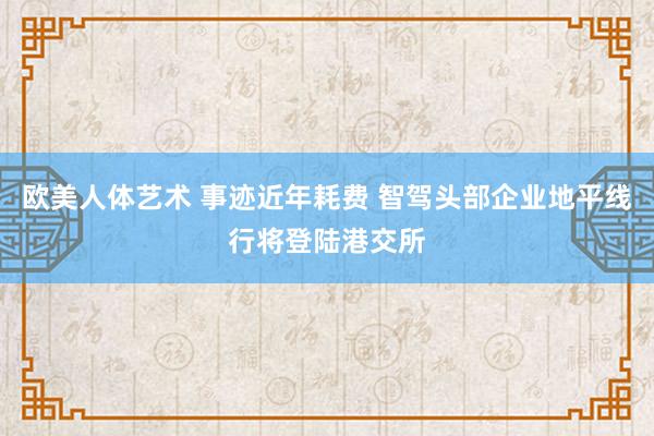 欧美人体艺术 事迹近年耗费 智驾头部企业地平线行将登陆港交所
