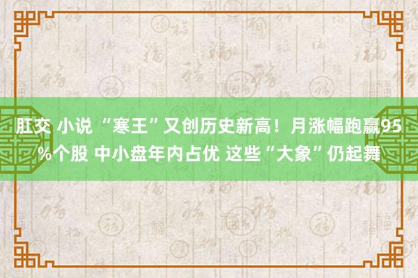 肛交 小说 “寒王”又创历史新高！月涨幅跑赢95%个股 中小盘年内占优 这些“大象”仍起舞