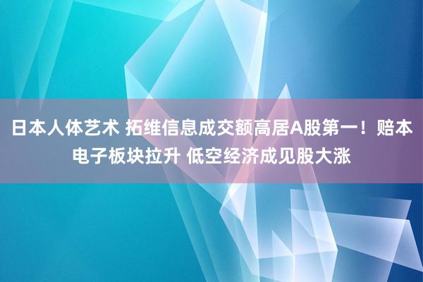 日本人体艺术 拓维信息成交额高居A股第一！赔本电子板块拉升 低空经济成见股大涨