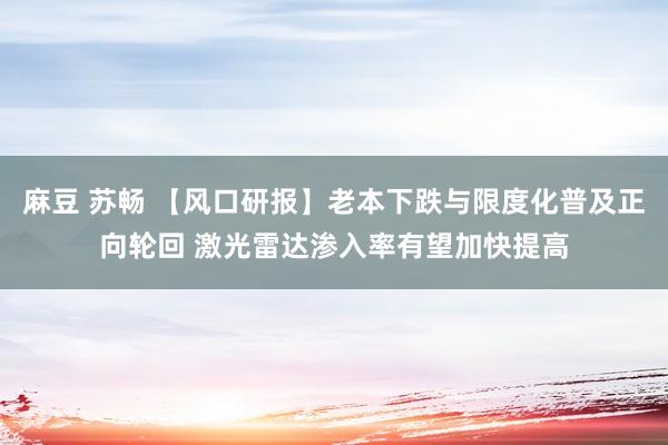 麻豆 苏畅 【风口研报】老本下跌与限度化普及正向轮回 激光雷达渗入率有望加快提高
